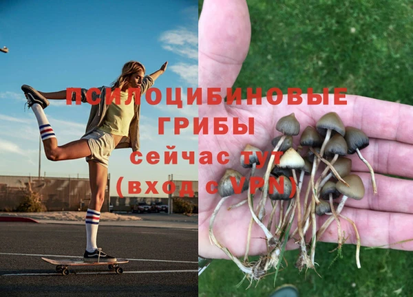 ешки Баксан