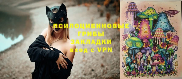 амф Арсеньев